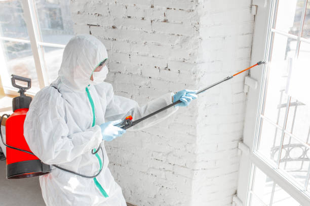 Why You Should Choose Our Mold Remediation Services in Milford Square, PA